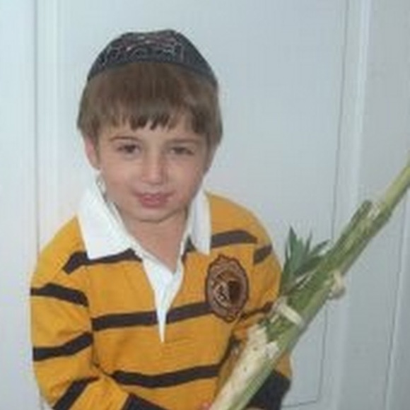 Meet your Posher, Netanel - Picture 1 of 1